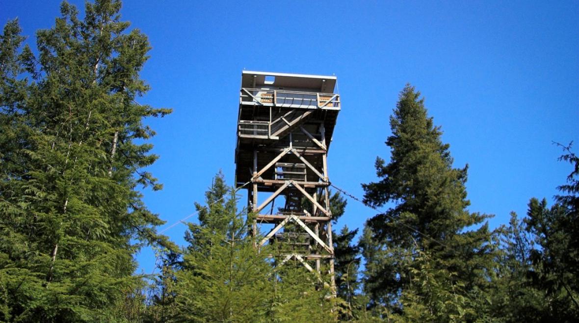 Heybrook Lookout Tower hike for kids who hate to hike